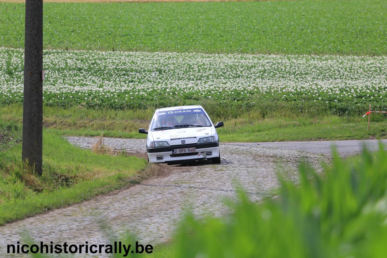 Wedstrijdverslag Dylan Pacco in de Rally van Wervik: Superblij met ons resultaat !